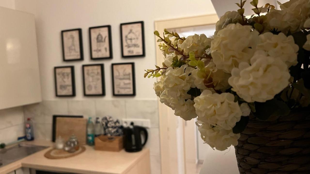Designerwohnung Afrika Sehr Zentral Gelegen Hanovre Extérieur photo